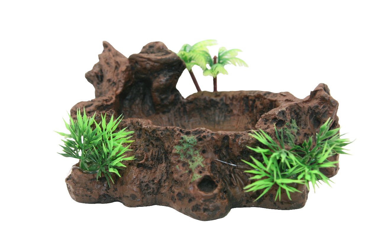 Ciotola Decorativa Effetto Tronco per Terrario – Jungle Bowl