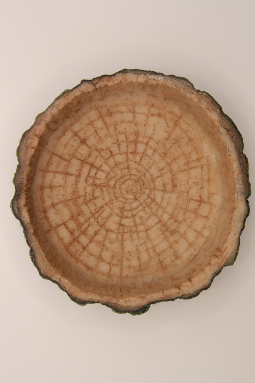 Ciotola Effetto Tronco per Terrario – Wood Bowl