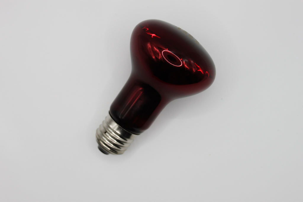 Lampada a Infrarossi per rettili ~ 25W