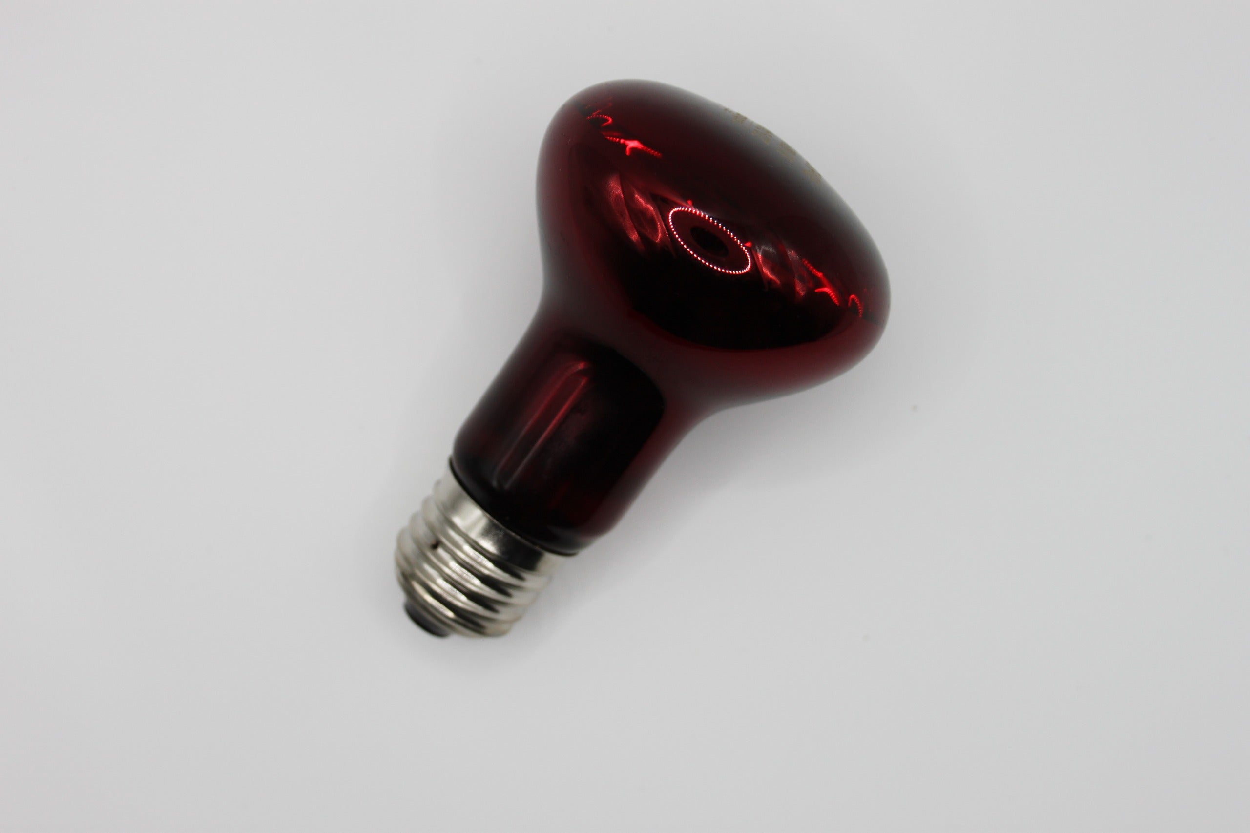 Lampada a Infrarossi per rettili ~ 25W