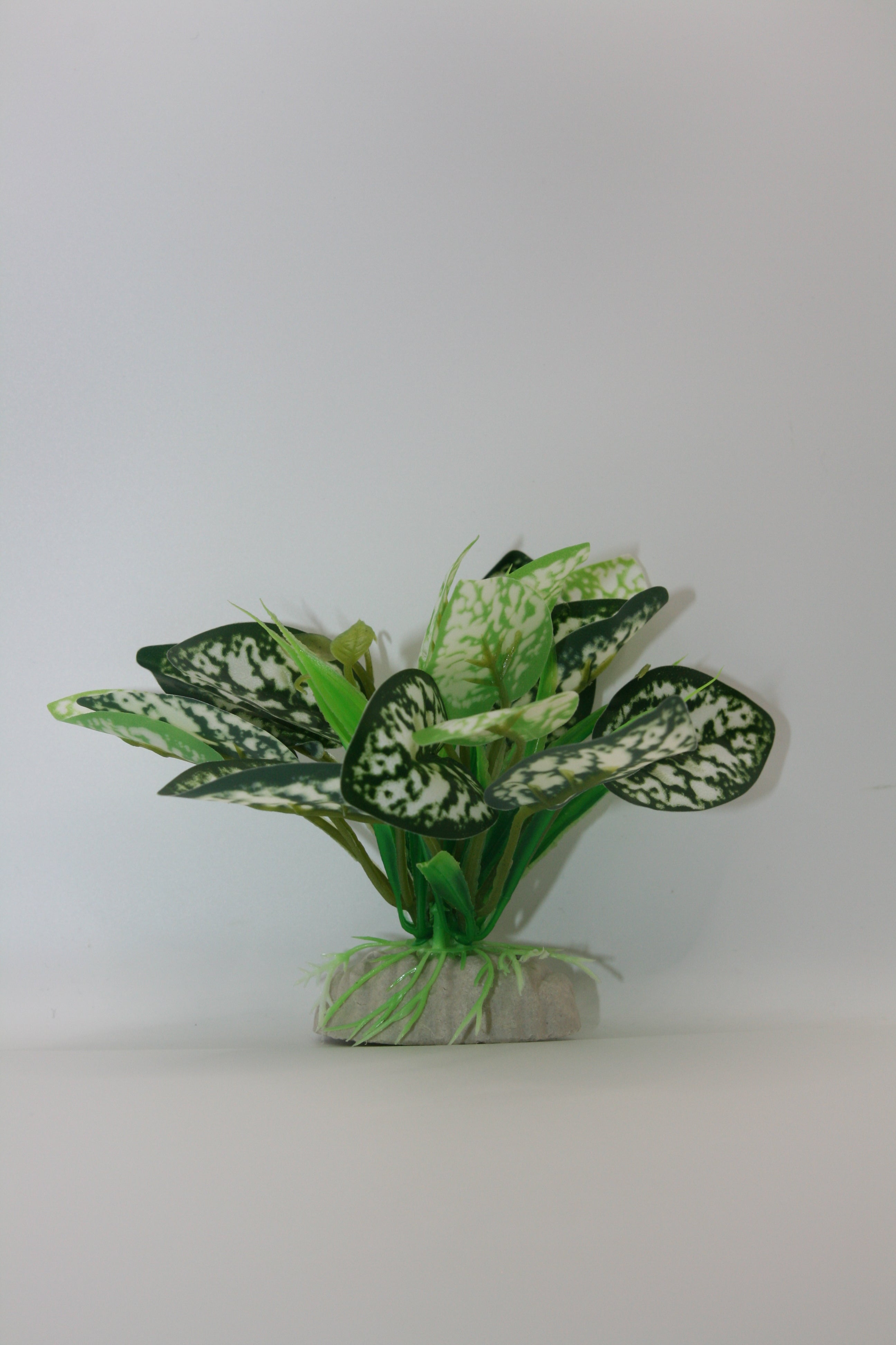 Piante Finte Decorative per Terrario - Diverse varianti