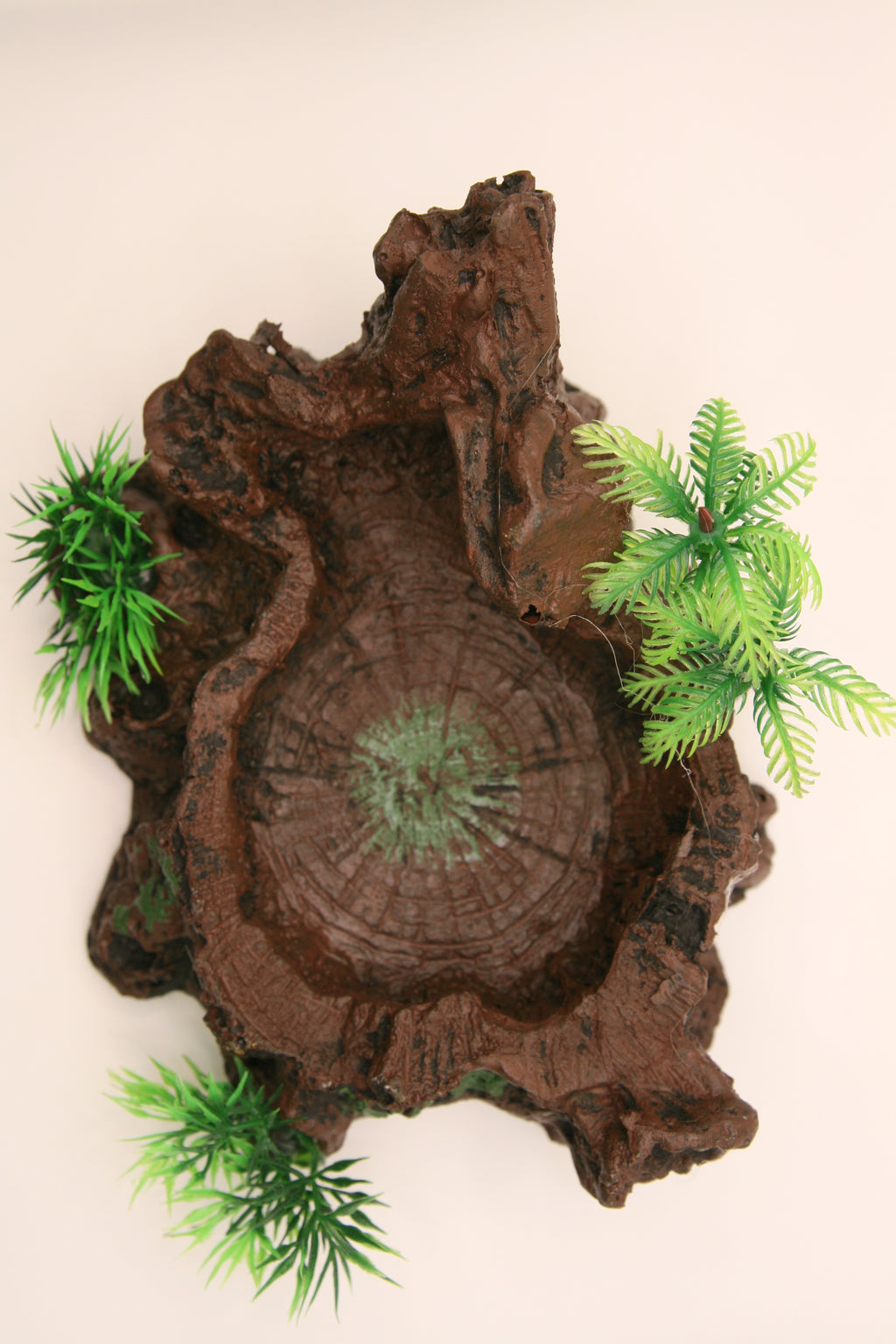 Ciotola Decorativa Effetto Tronco per Terrario – Jungle Bowl