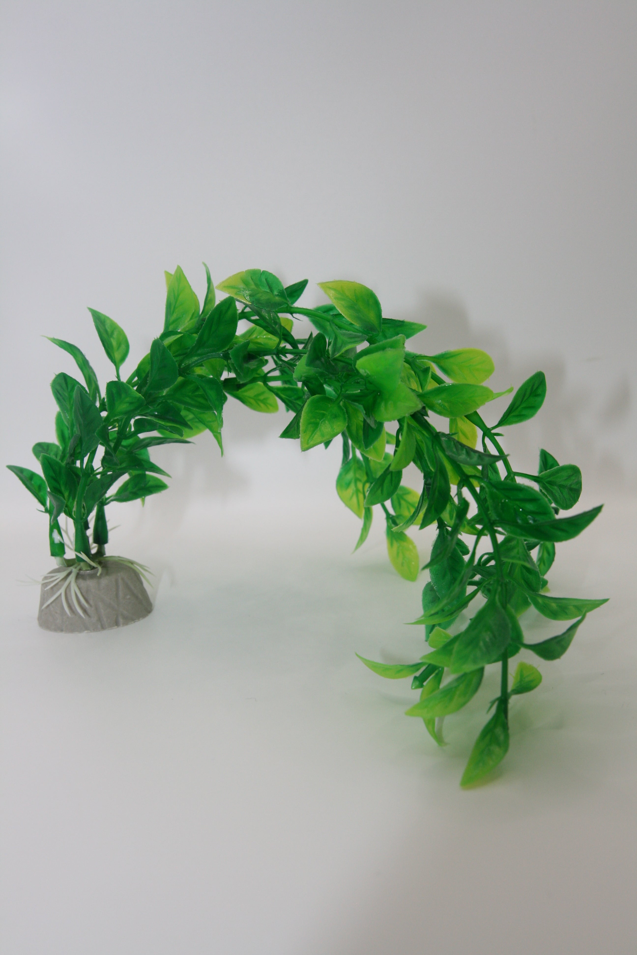 Piante Finte Decorative per Terrario - Diverse varianti