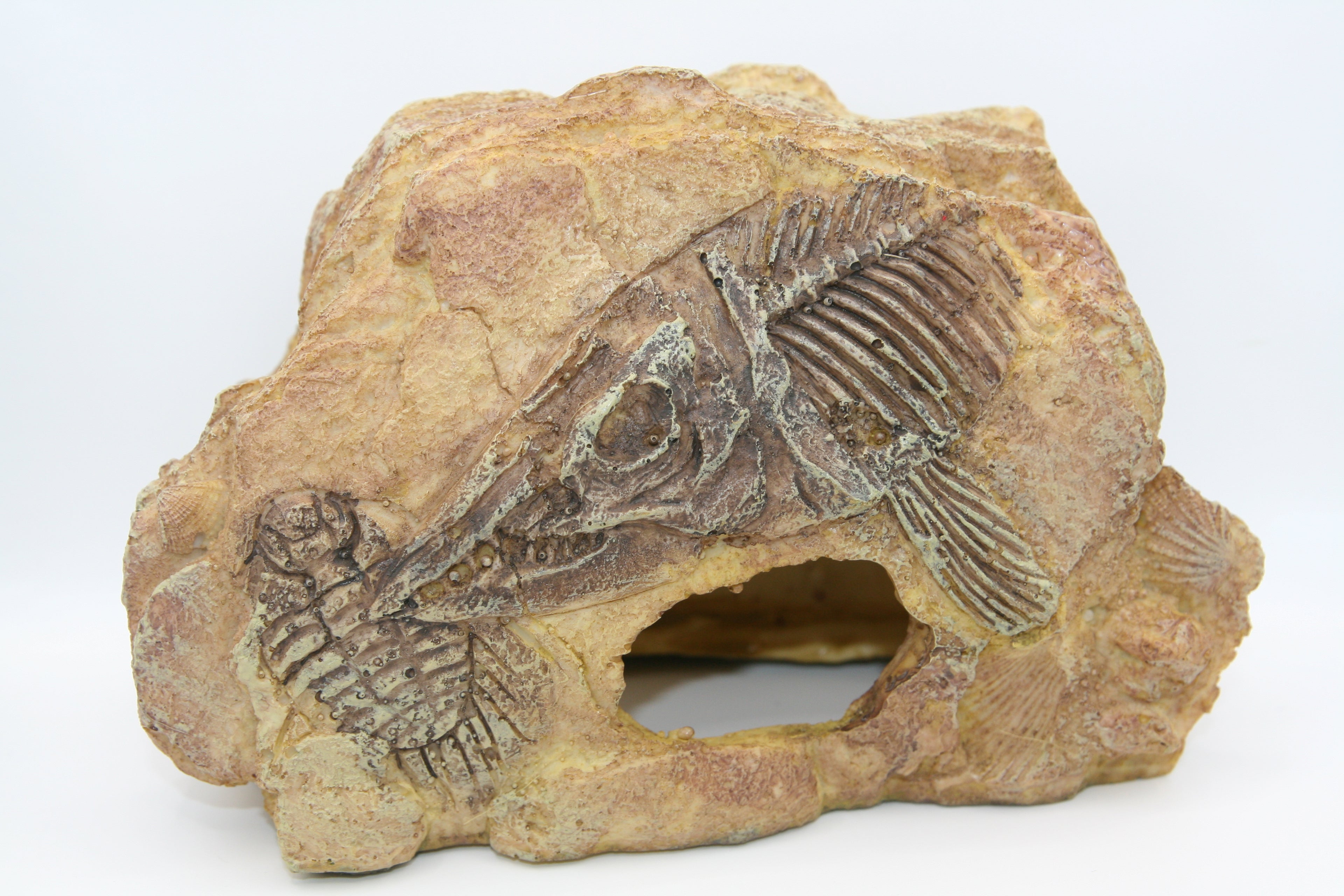 Tana Fossile per Terrario – Fossil Hide