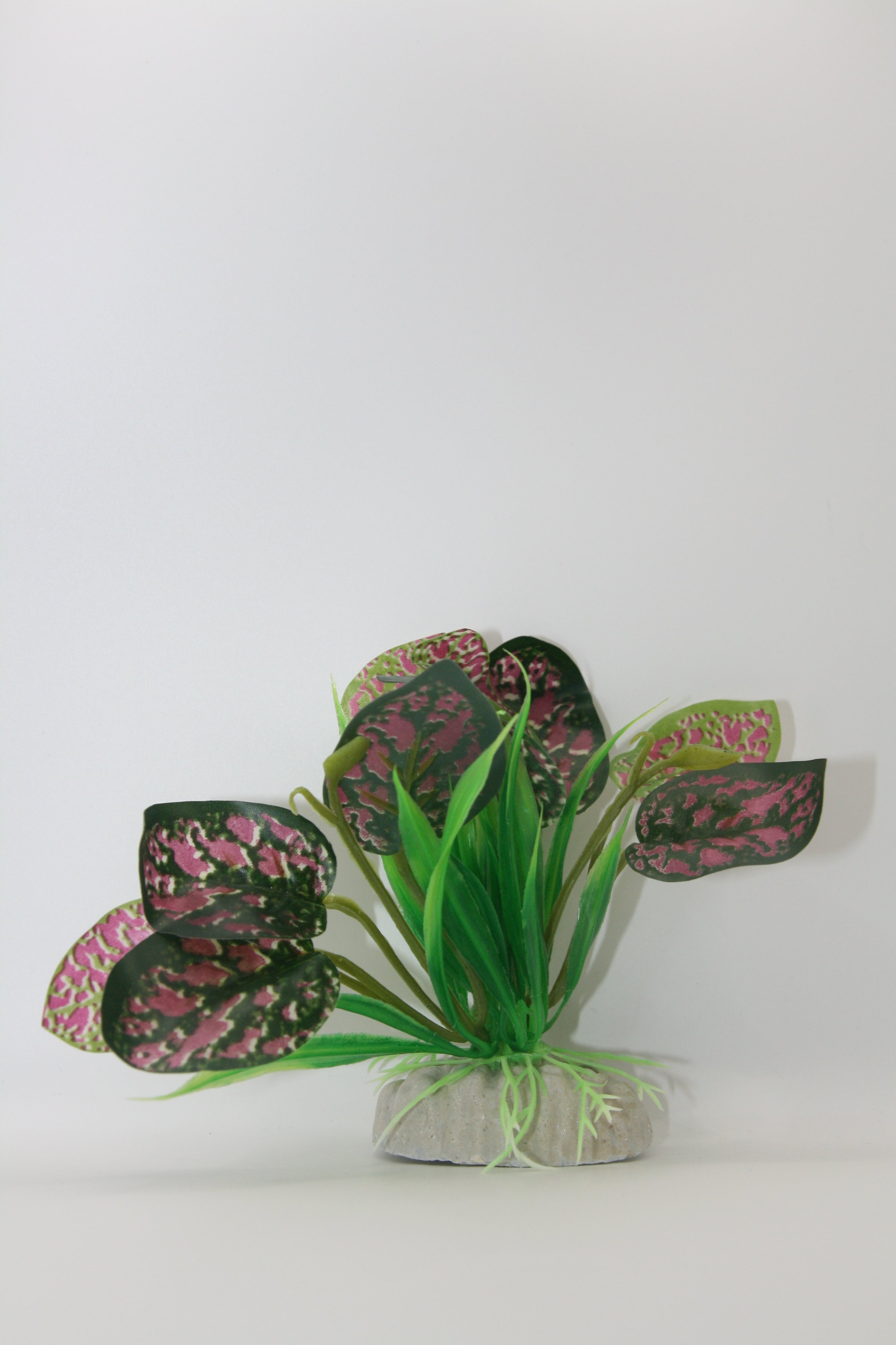 Piante Finte Decorative per Terrario - Diverse varianti