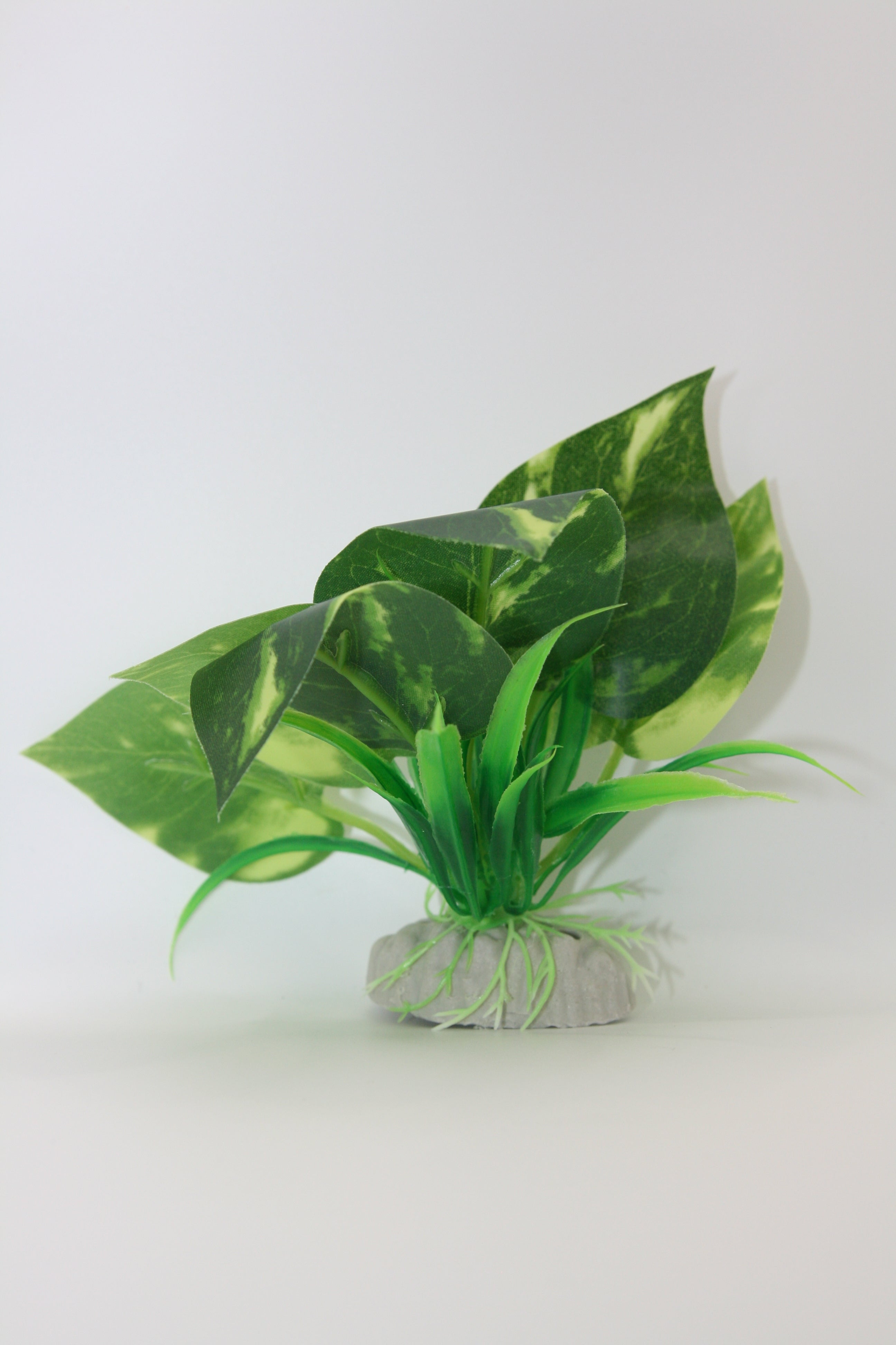 Piante Finte Decorative per Terrario - Diverse varianti