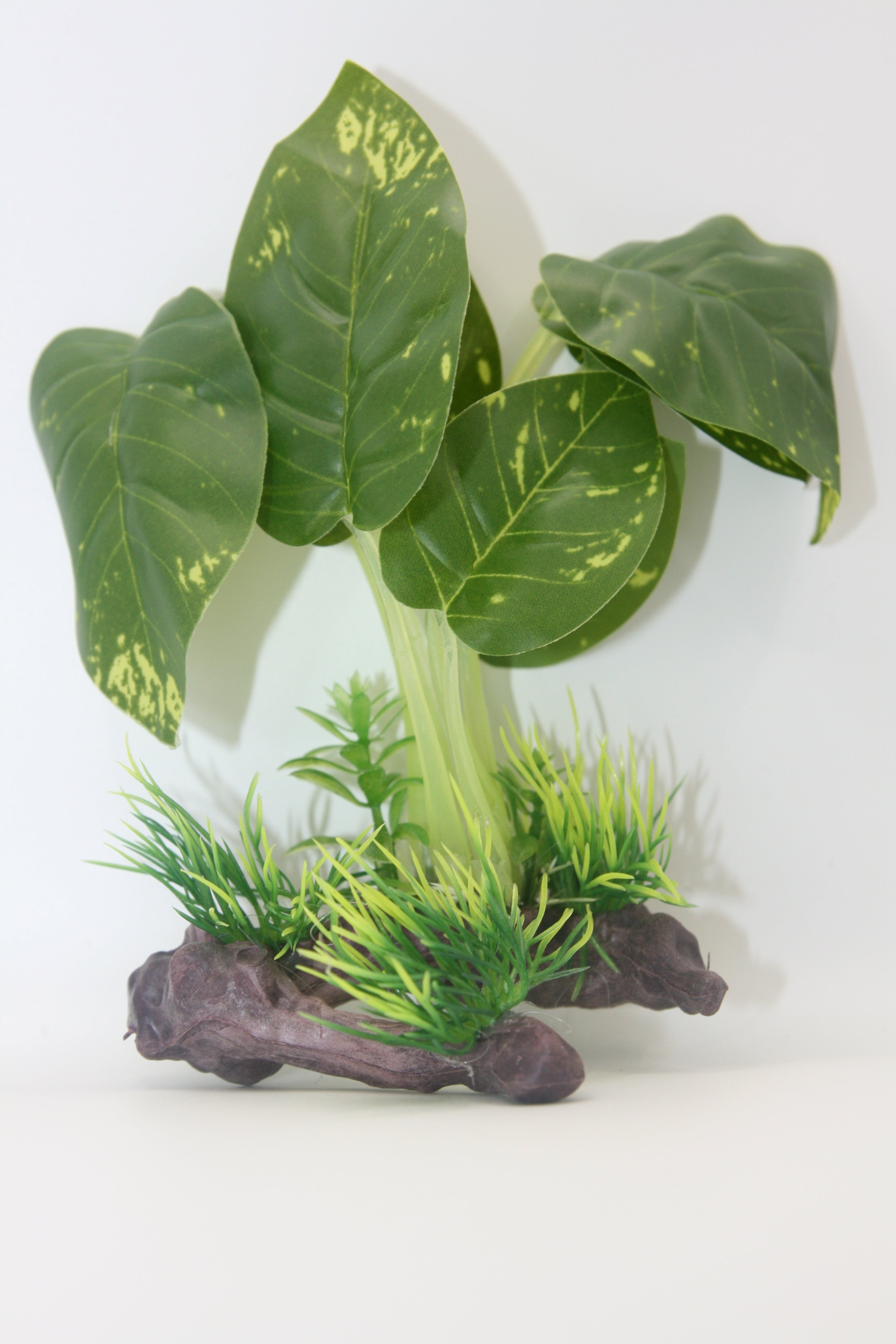 Piante Finte Decorative per Terrario - Diverse varianti