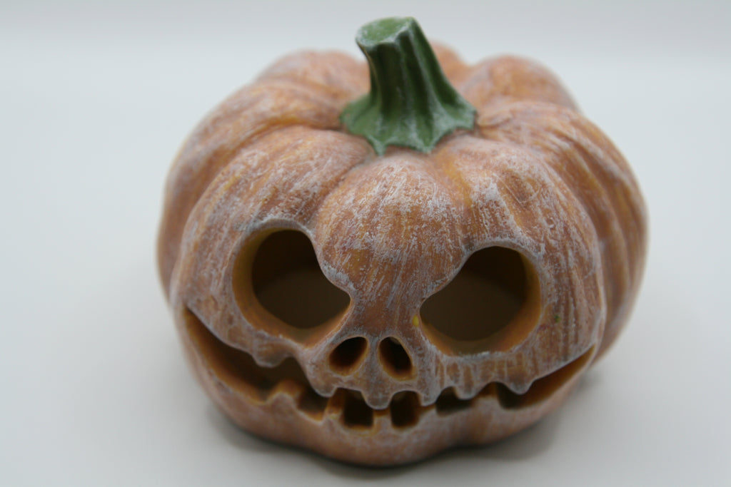 Tana Zucca Skull per Terrario – Halloween Hide