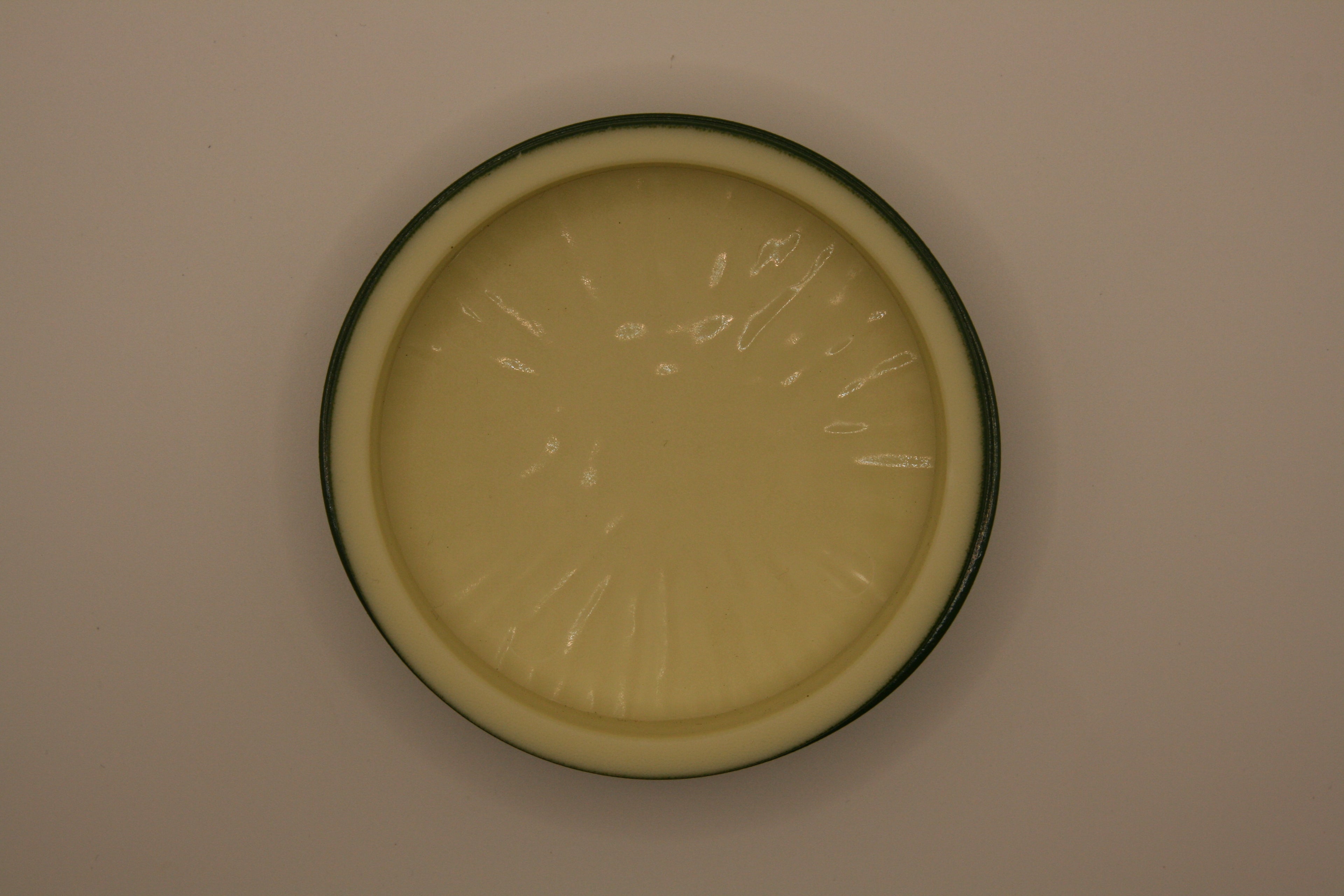 Ciotola Rotonda per Terrario – Basic Green