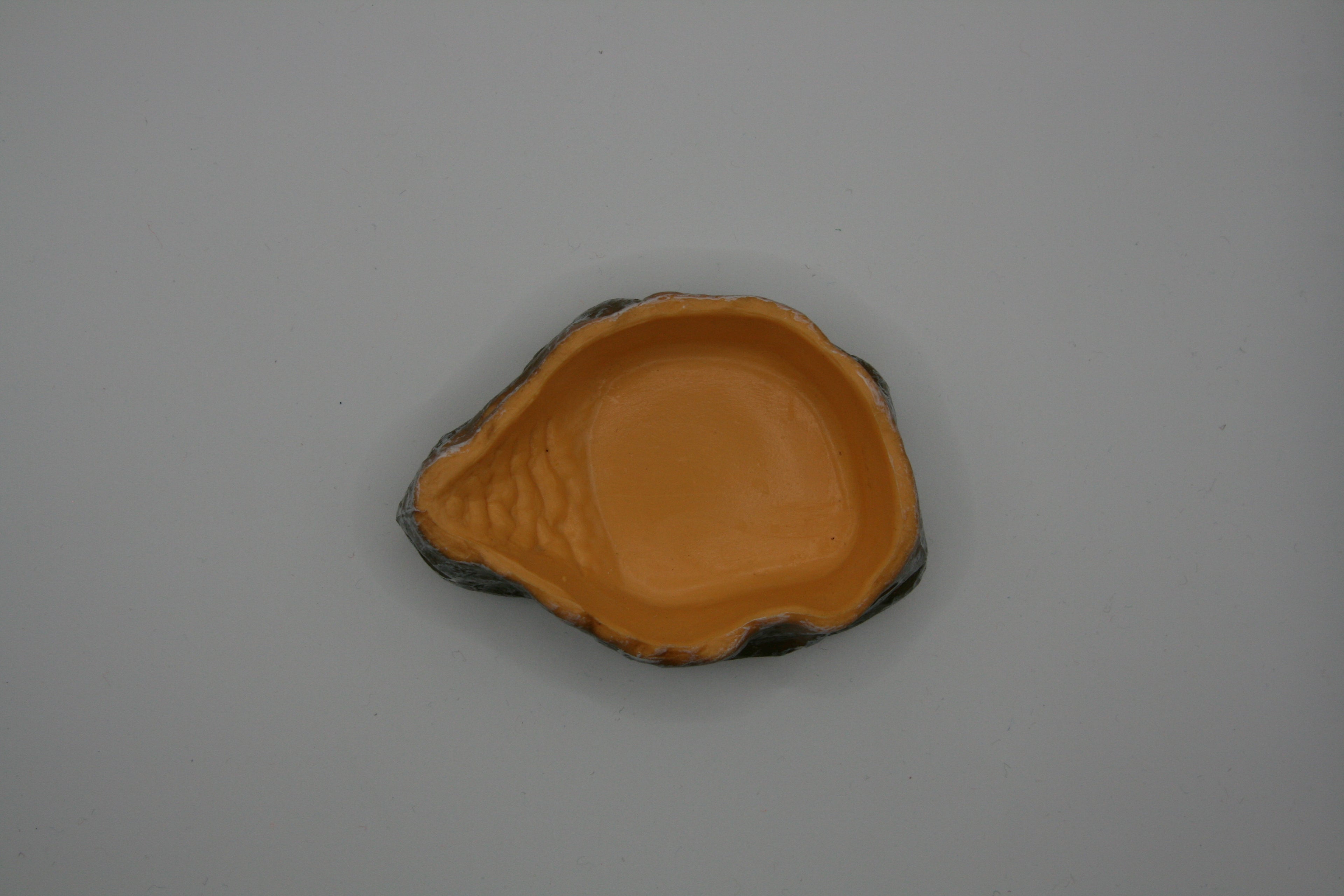 Ciotola naturale per terrari