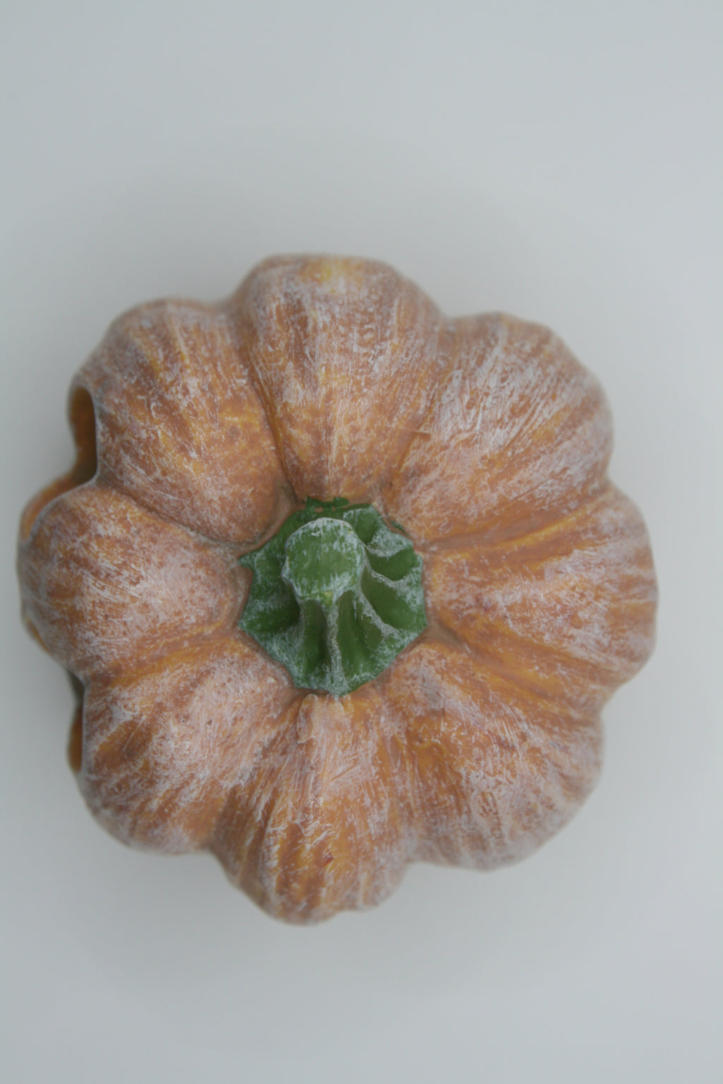 Tana Zucca Skull per Terrario – Halloween Hide