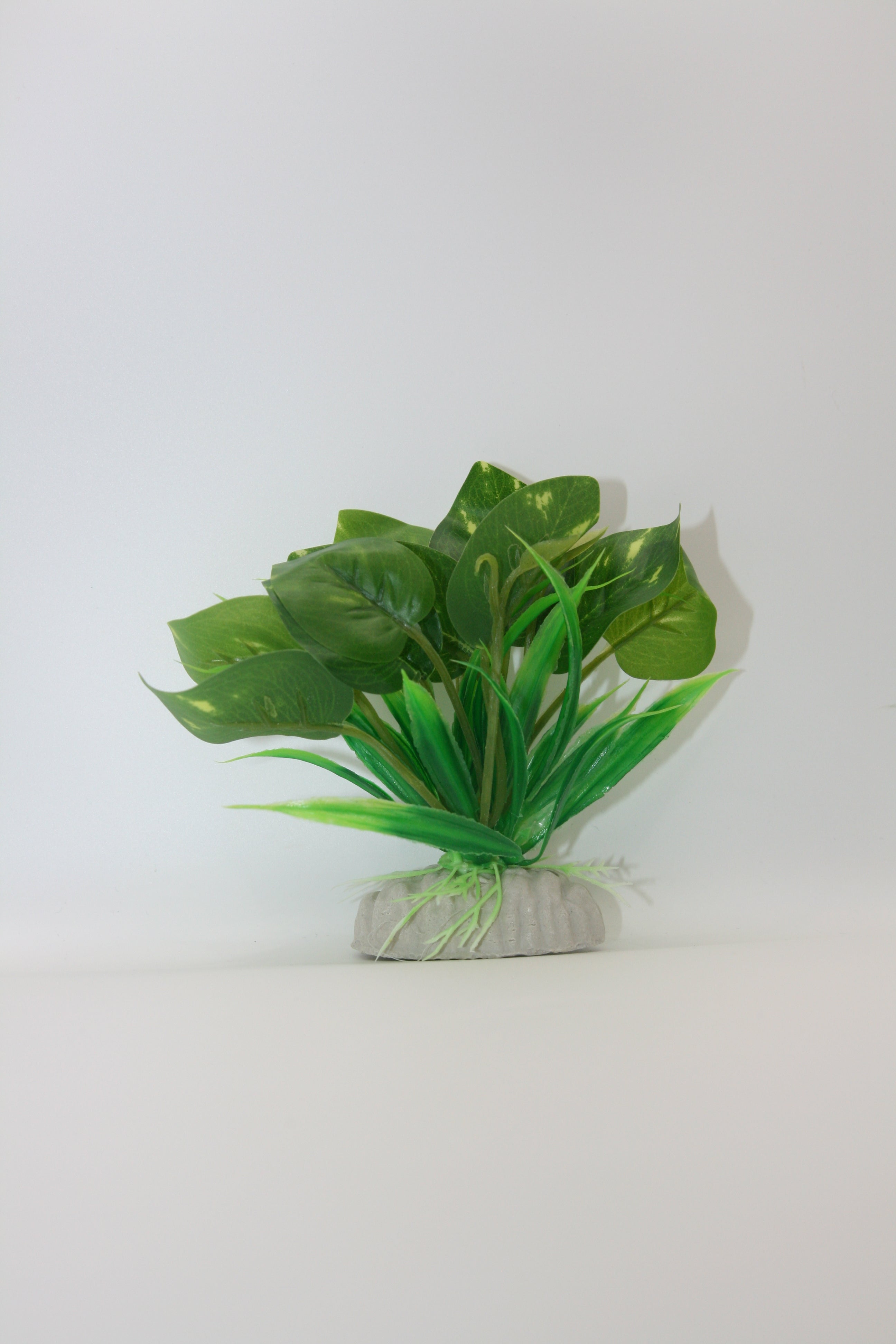 Piante Finte Decorative per Terrario - Diverse varianti