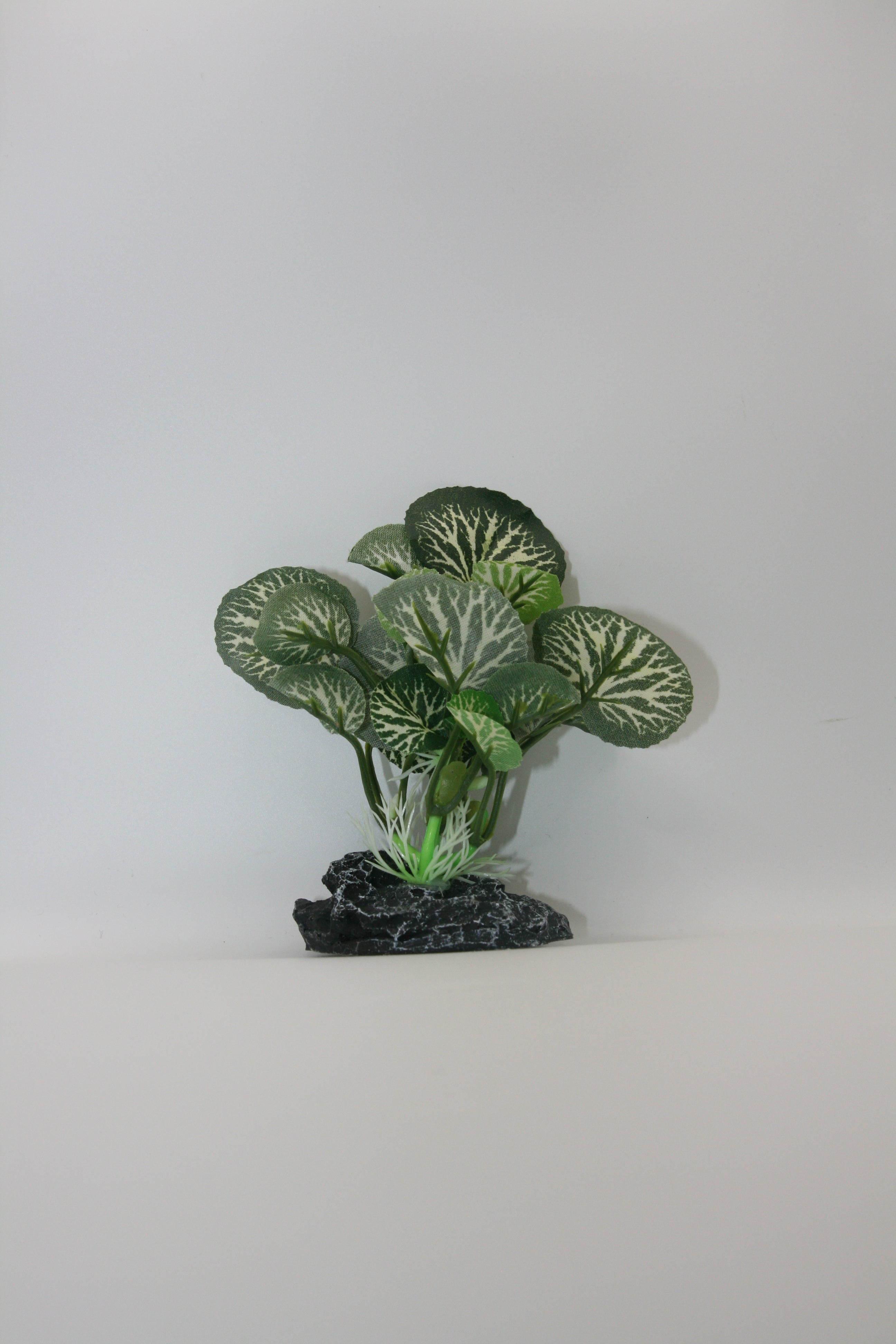 Piante Finte Decorative per Terrario - Diverse varianti