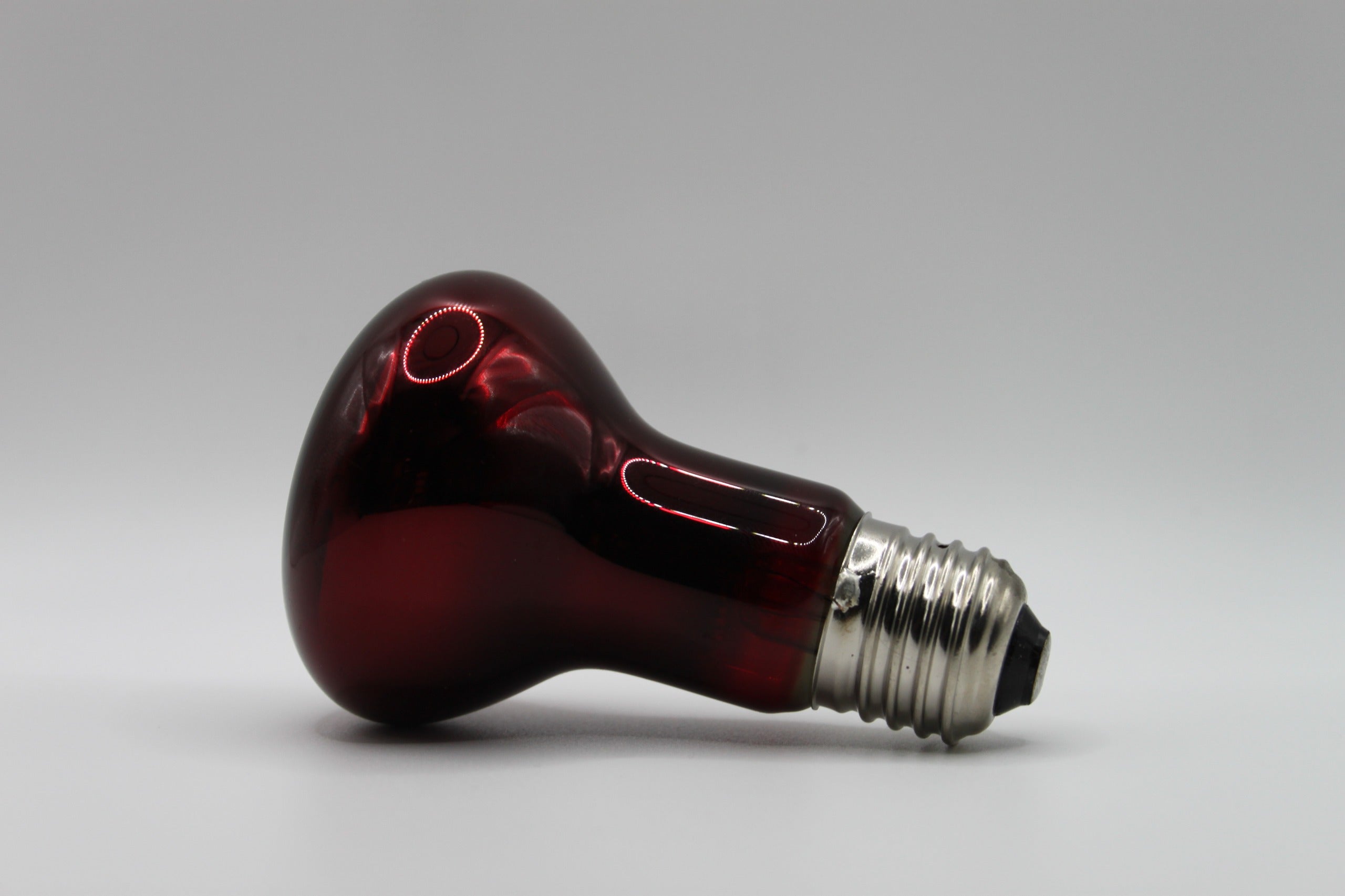 Lampada a Infrarossi per rettili ~ 25W