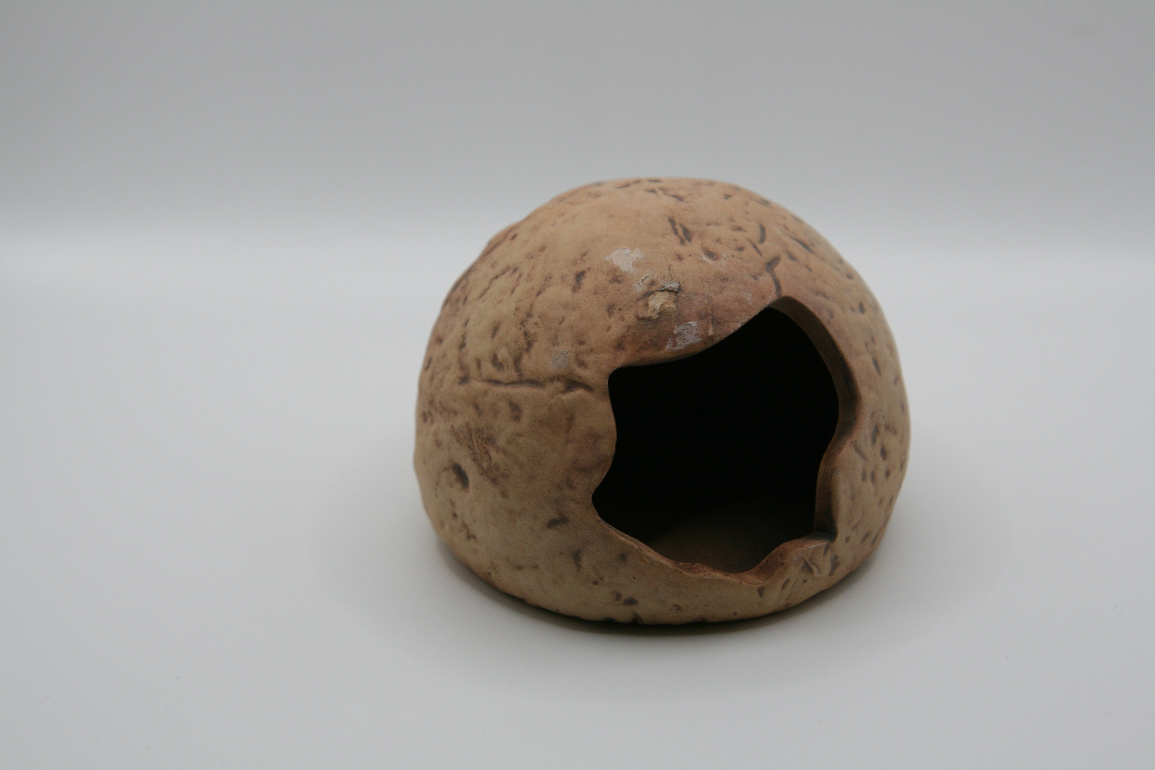 Tana Effetto Cocco per Terrario – Coconut Hide