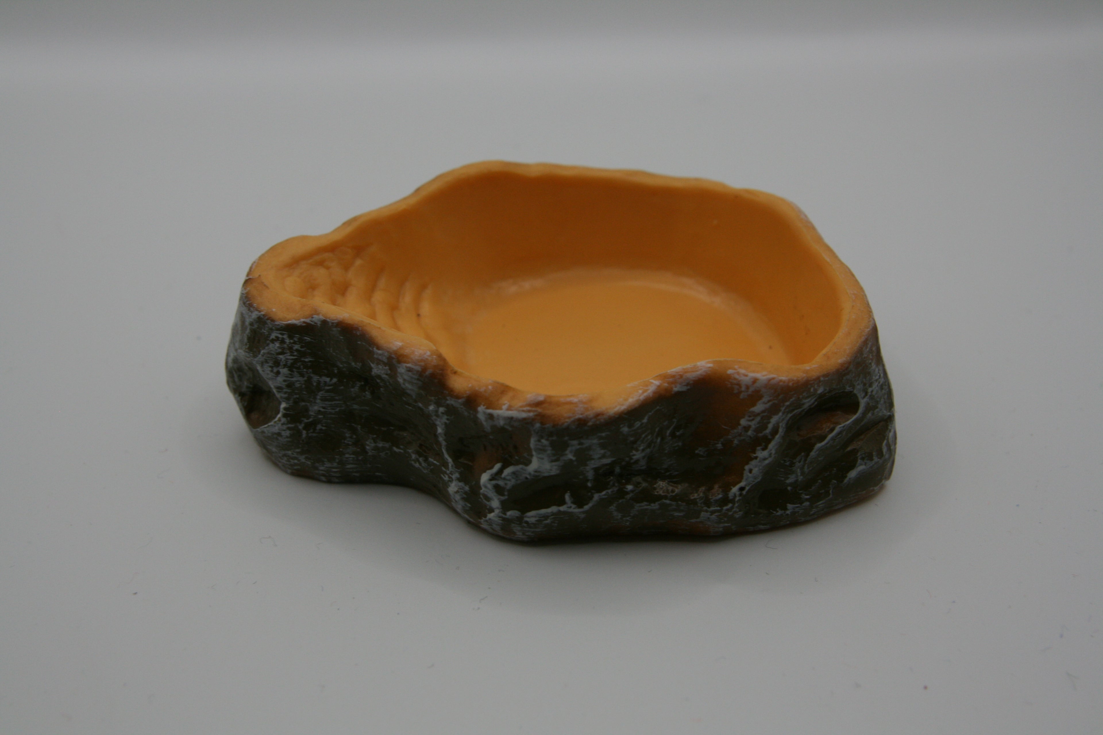 Ciotola naturale per terrari