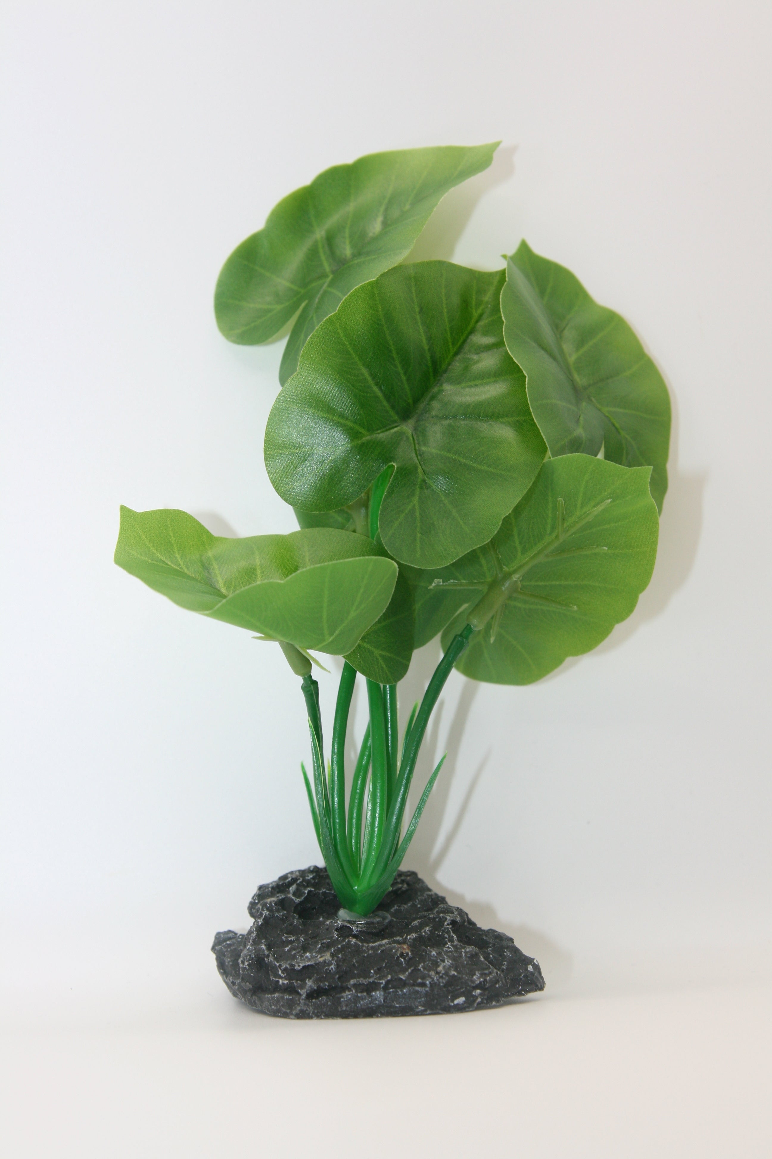 Piante Finte Decorative per Terrario - Diverse varianti