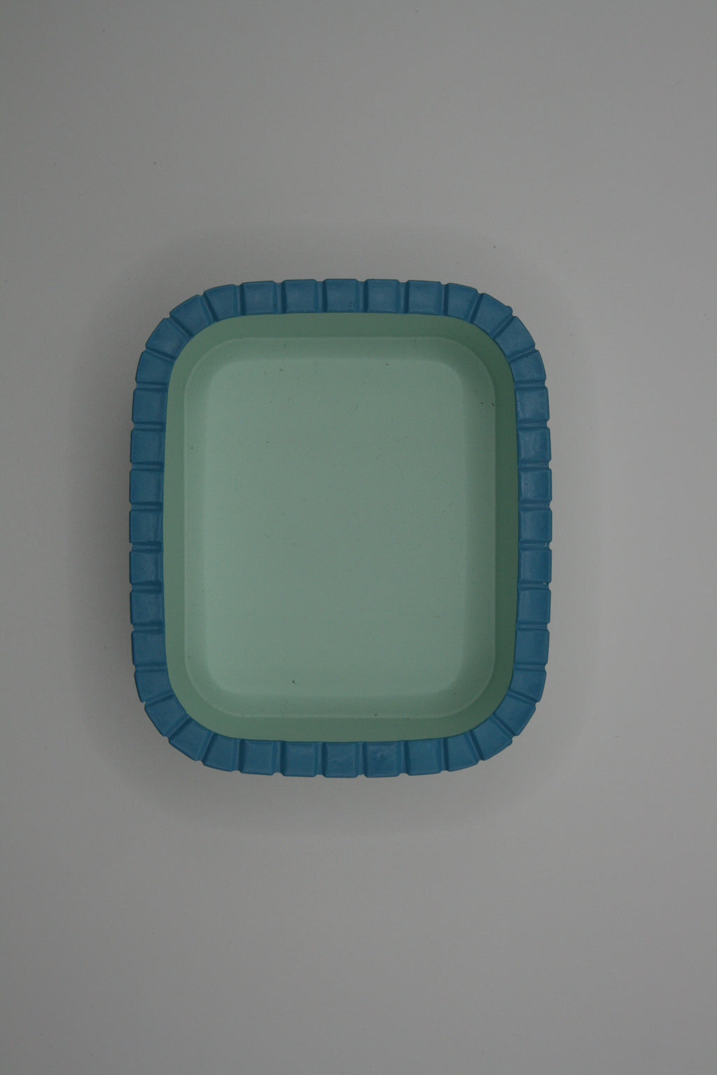 Ciotola Rettangolare per Terrario – EasyClean