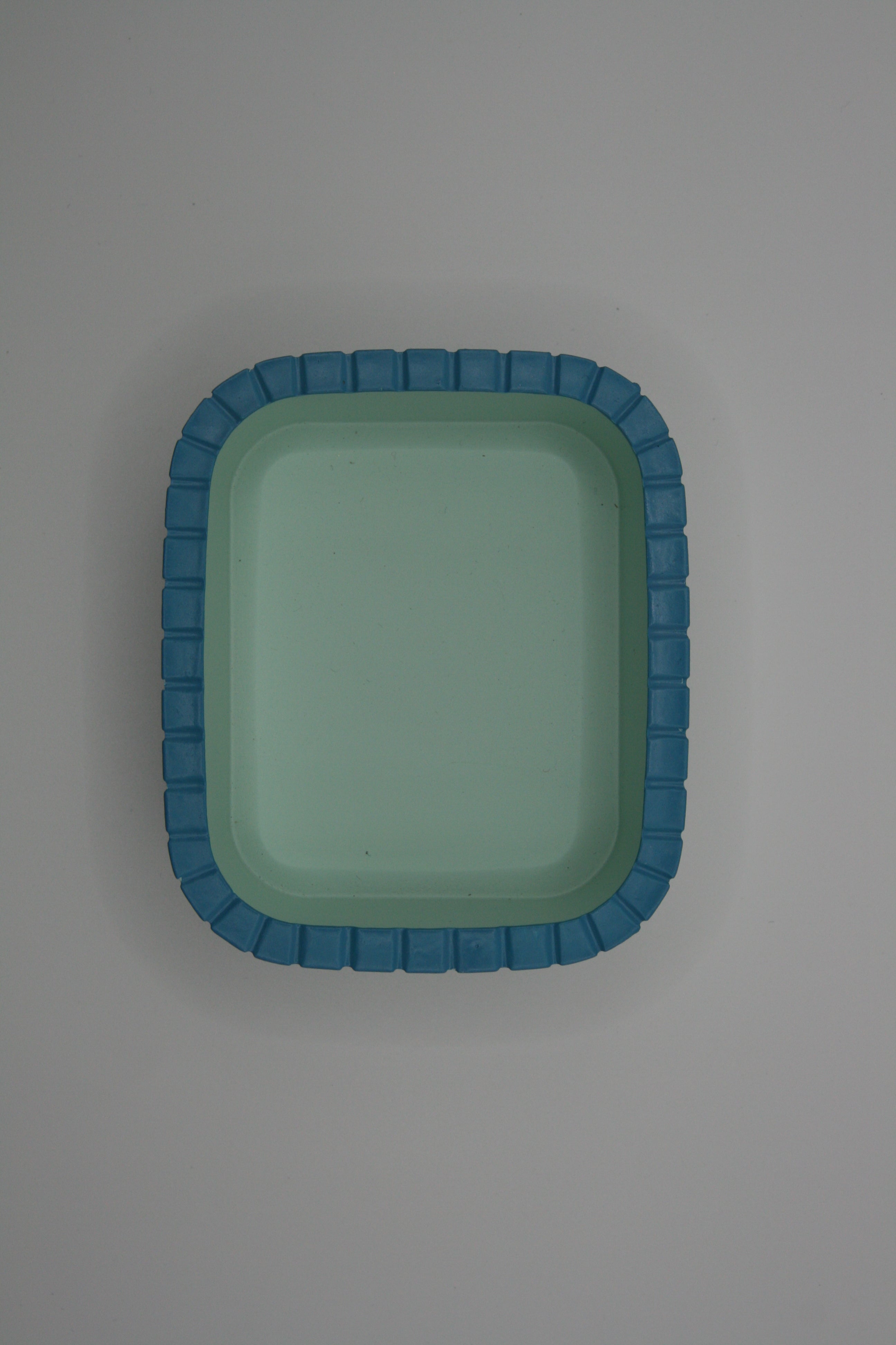 Ciotola Rettangolare per Terrario – EasyClean