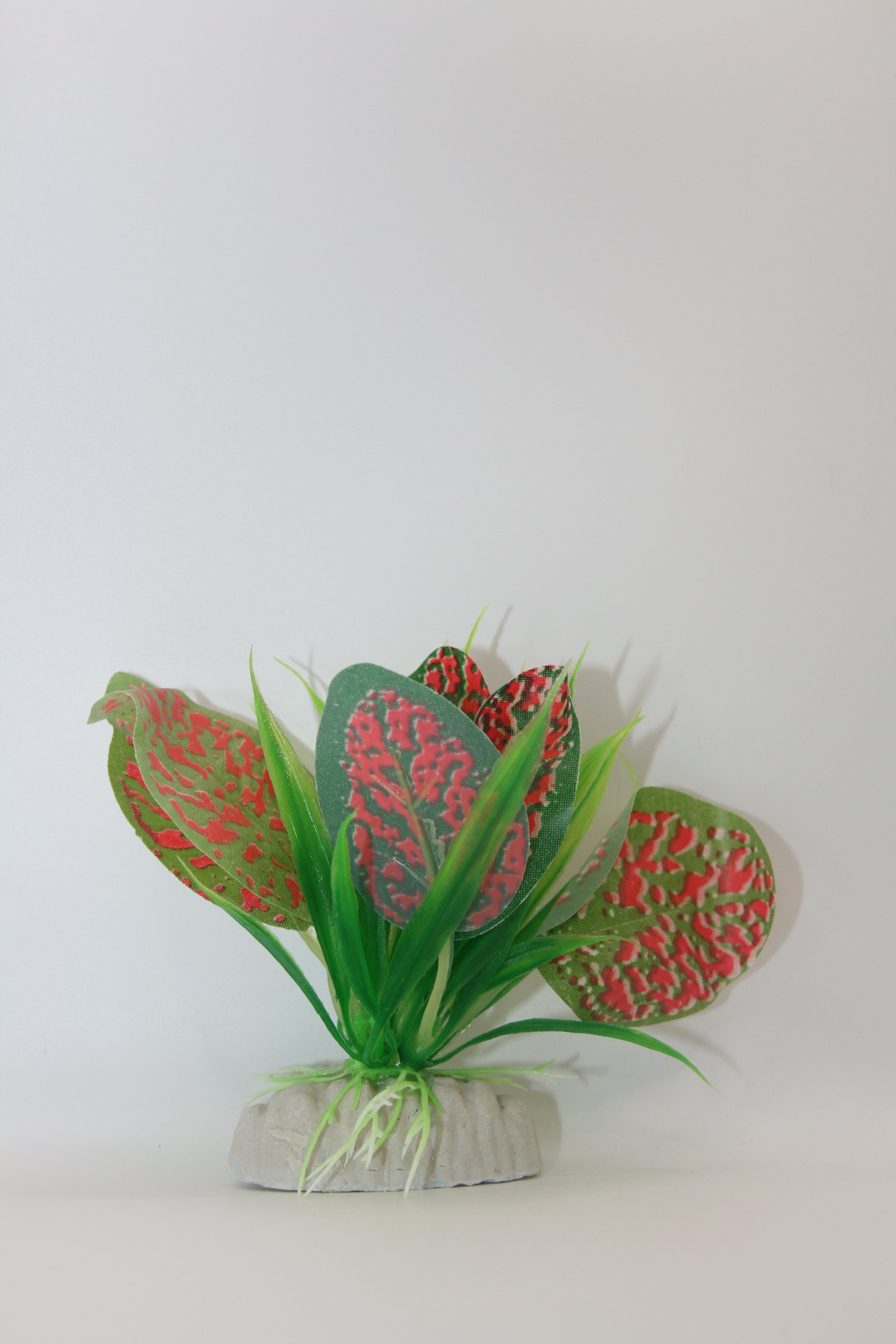 Piante Finte Decorative per Terrario - Diverse varianti