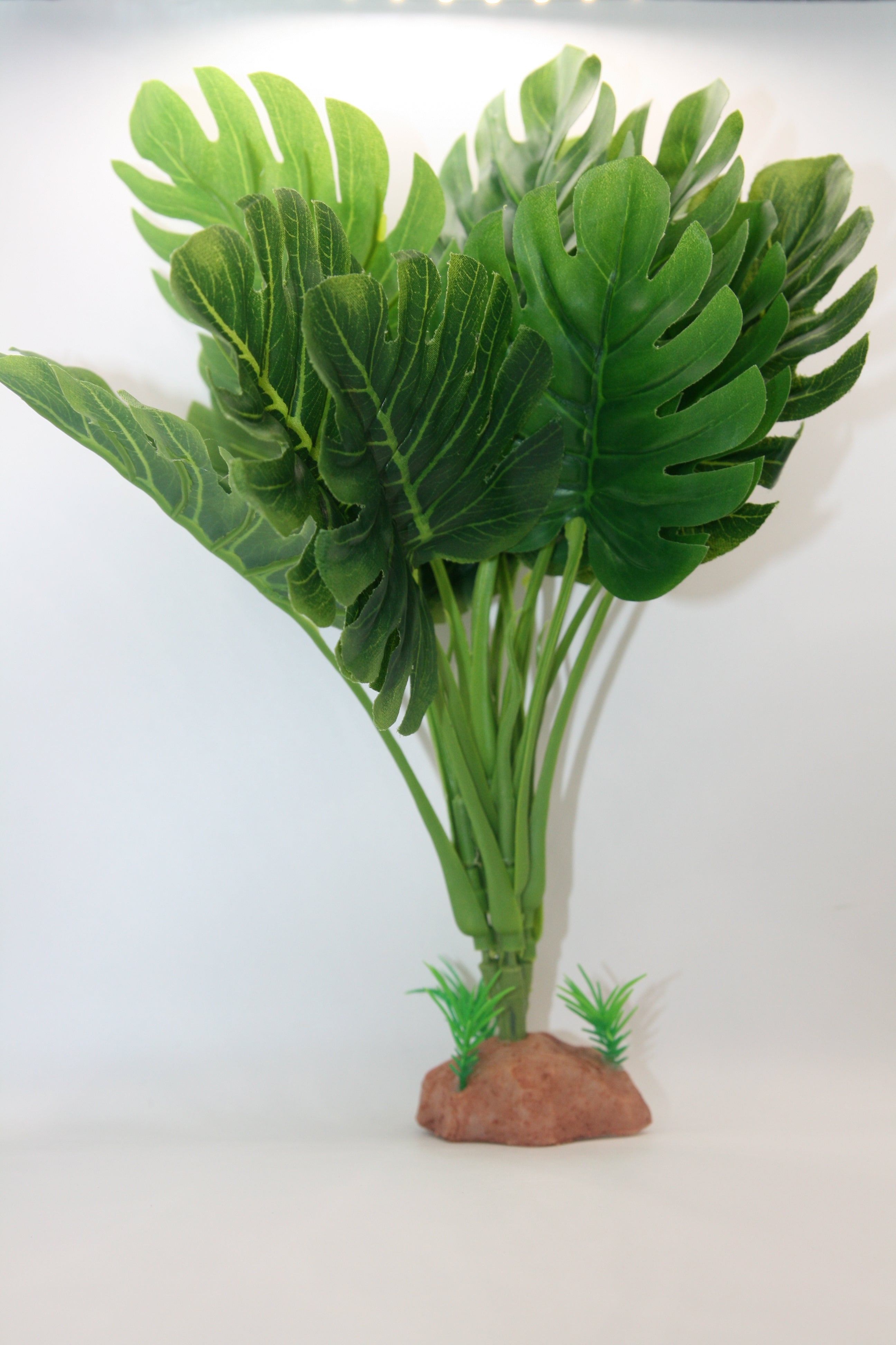 Piante Finte Decorative per Terrario - Diverse varianti