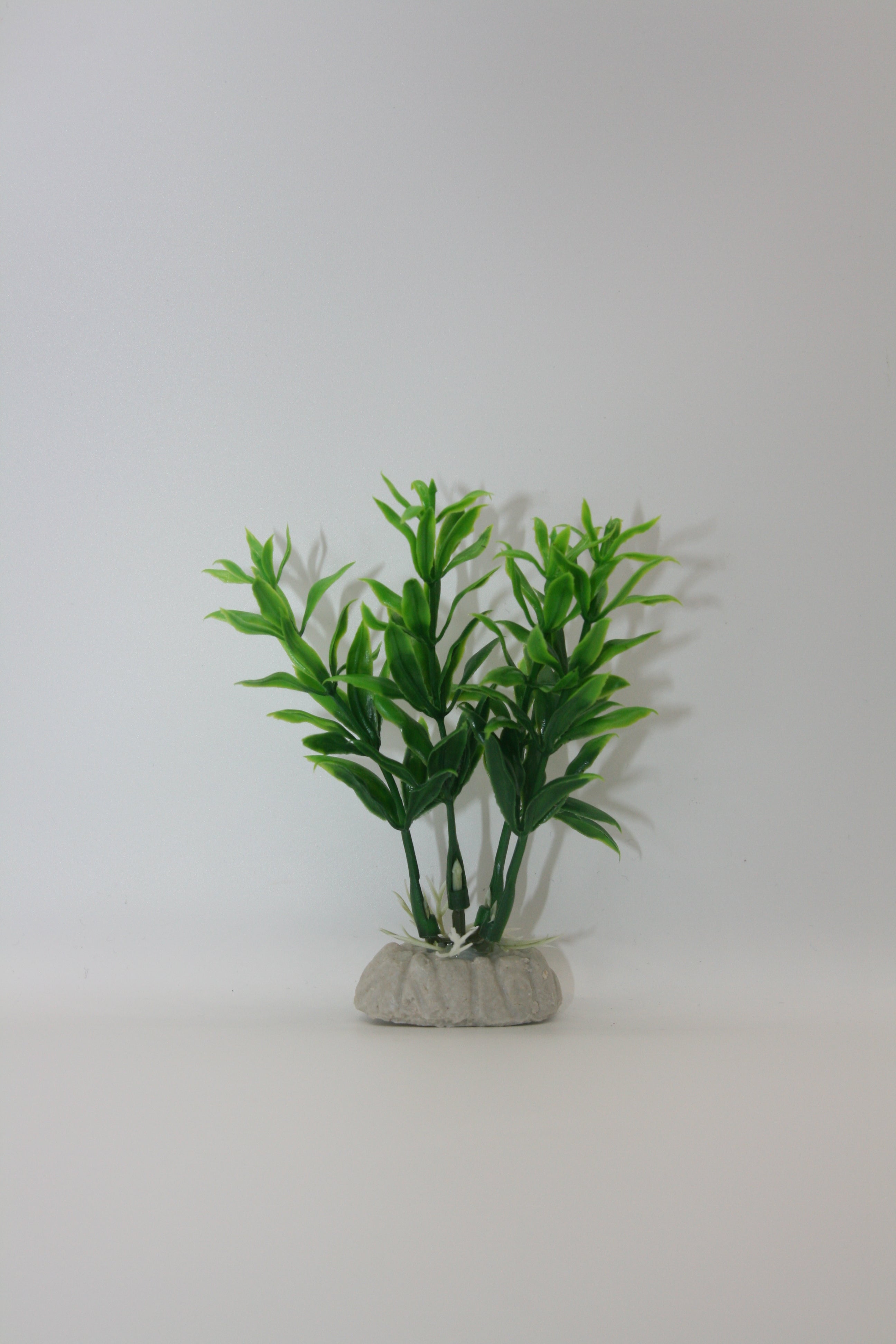 Piante Finte Decorative per Terrario - Diverse varianti