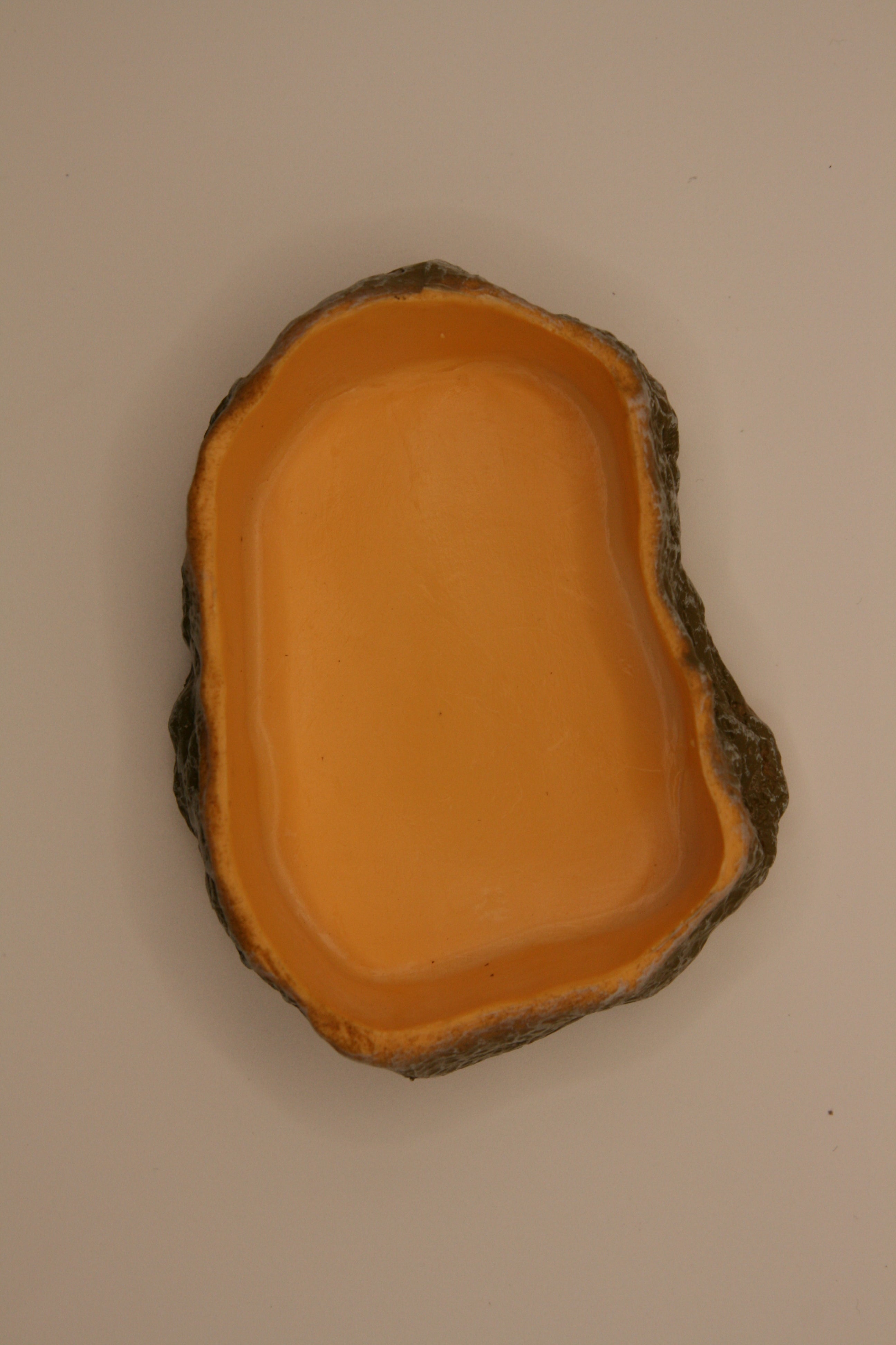 Ciotola Effetto Roccia Desert per Terrario – Desert Bowl